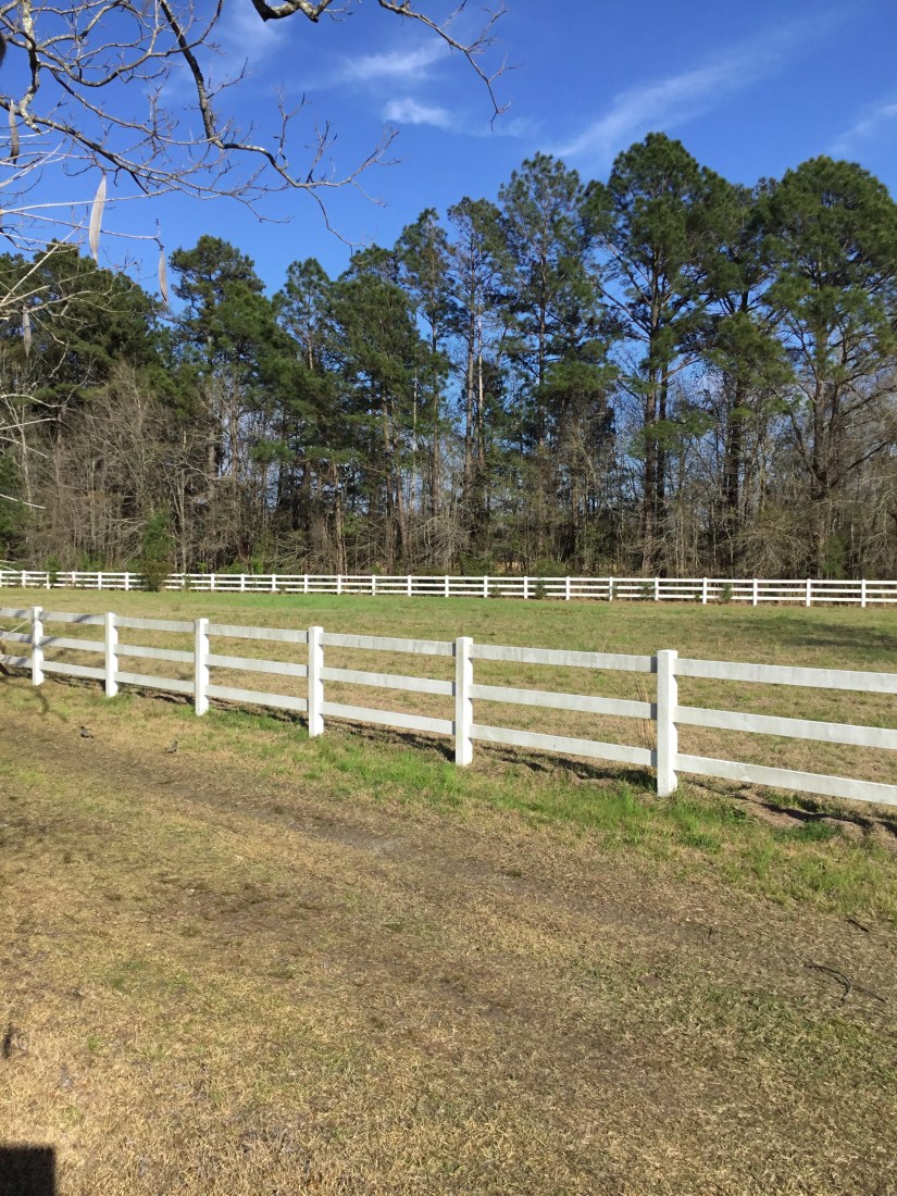 05168660-09D9-4593-A729-3C1BFFA61952