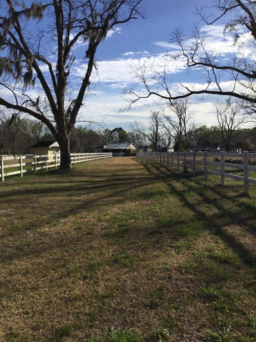 0B253E6F-A2CE-45A2-9953-3A5A988F5F68