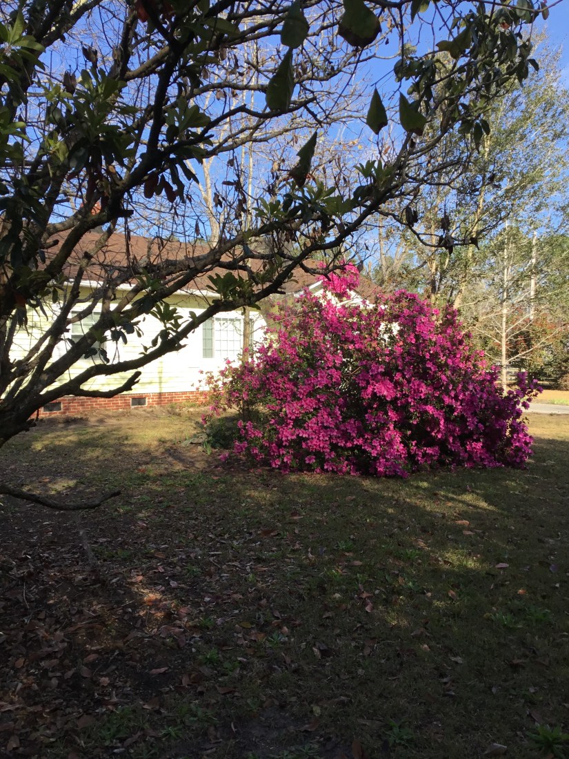 29B874EA-6490-4C3D-A261-7942ABC408C1