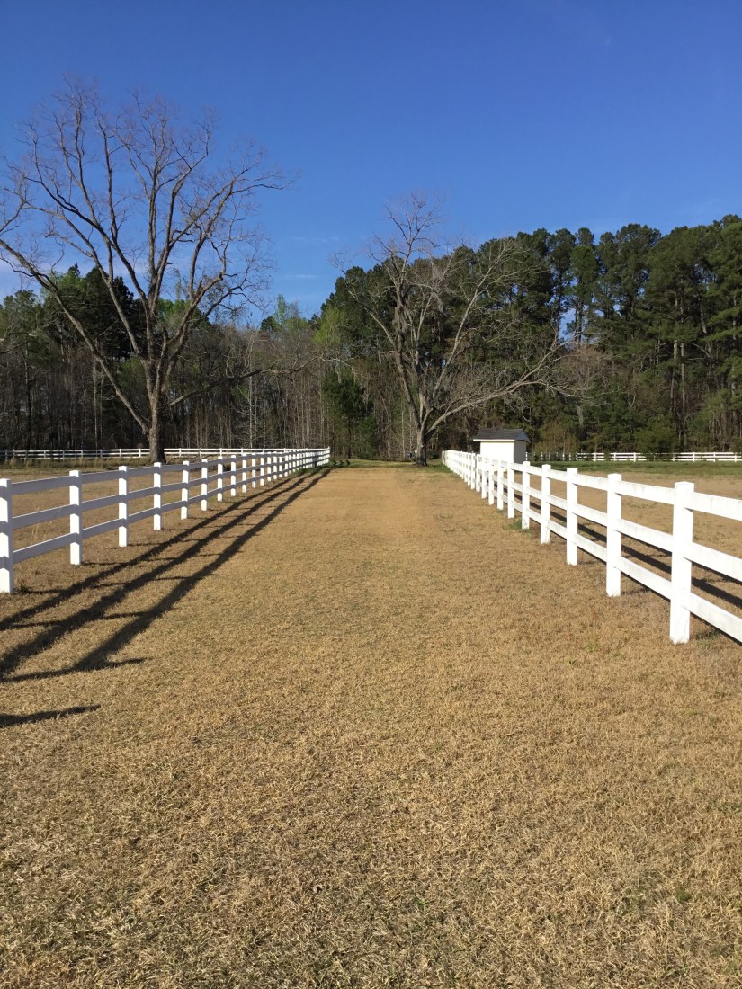 2E346F41-DDFA-4626-895A-D3BC19E0A393