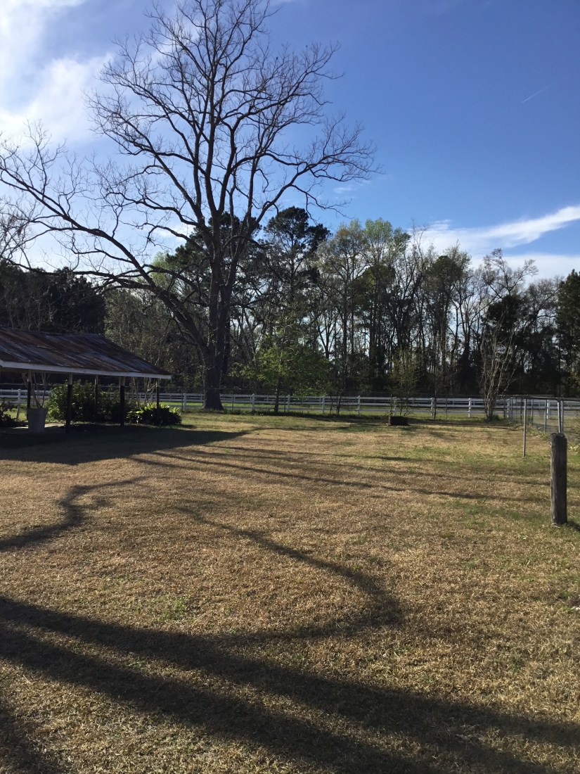 7E087DD6-DE8A-45B6-A5EF-12CE1C4B985B