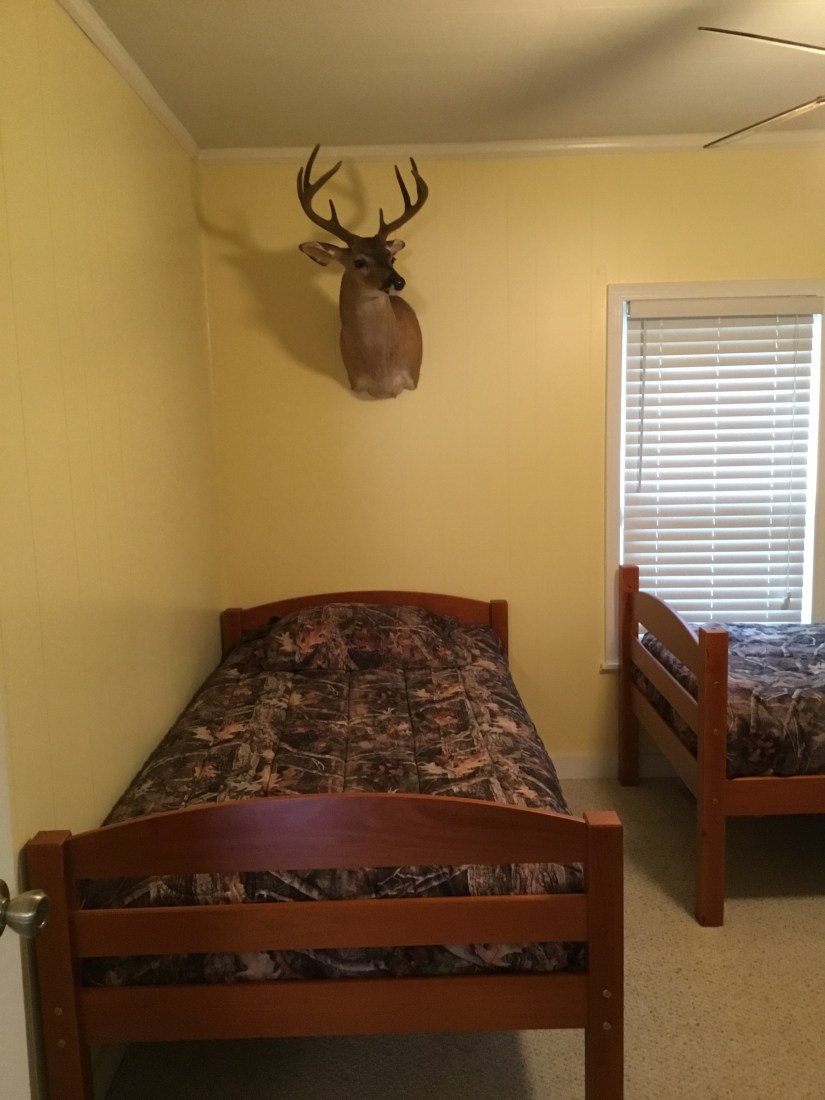 8EA82F1D-43C1-47ED-818F-B5EDC10FA5B9