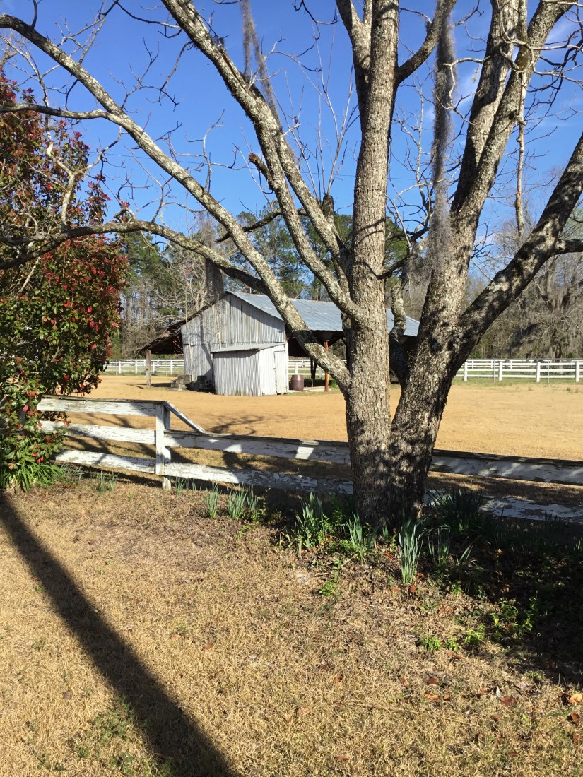 96D206CA-86A0-4538-B78A-E236571DD94C