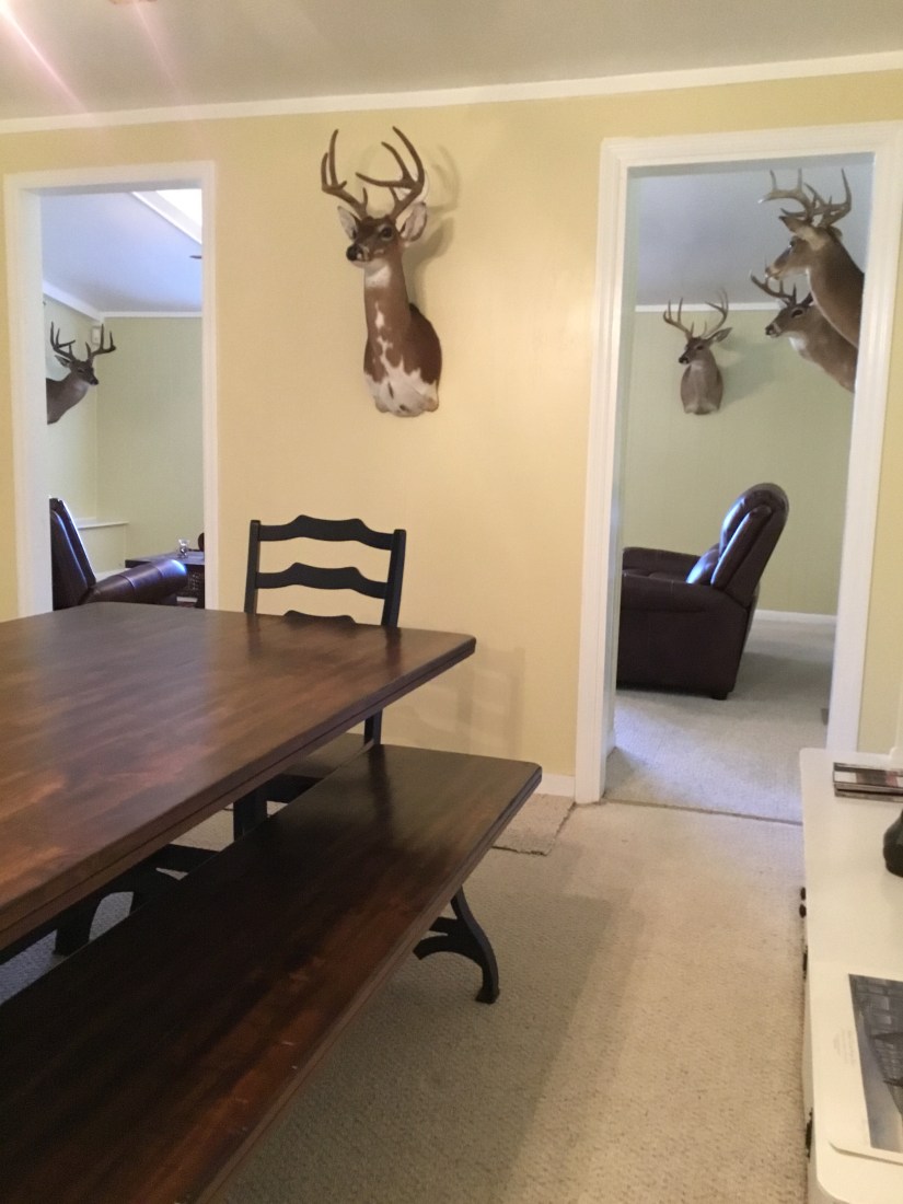 D1642F81-FE20-4B12-BC1A-87C81D6F883D