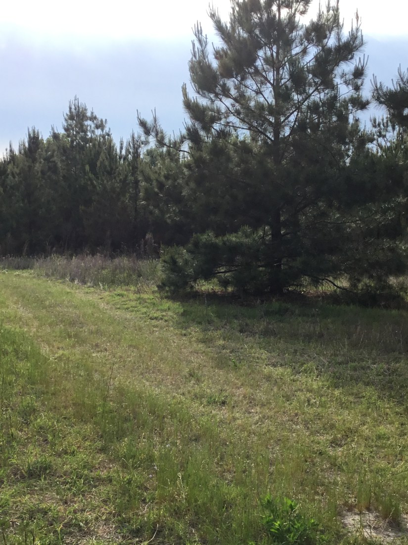 09E96861-5872-4CA9-81D2-6635B849B0FE