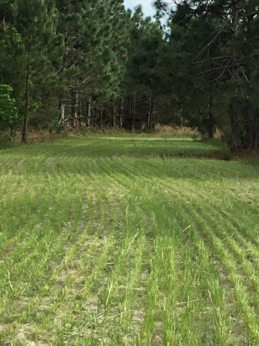 0ACF1881-ACA3-4793-A63E-EBFE240EB4CC