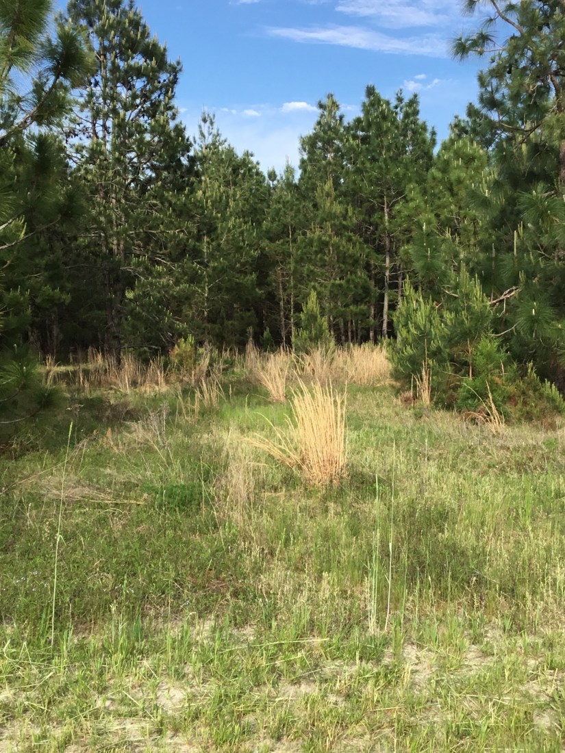 2BD42DC6-AA8A-47DE-8E29-B14D08653622