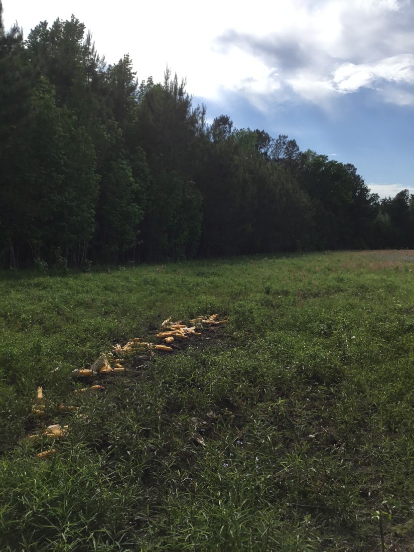 3F5F2C7F-2D5F-4AF3-B2D1-D0EA7198BBE7