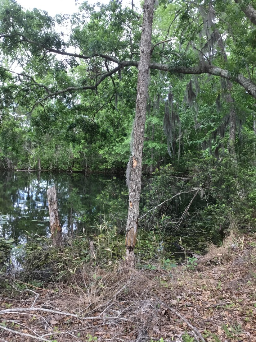 46C86532-3413-4C5D-8854-8F657A234EE2