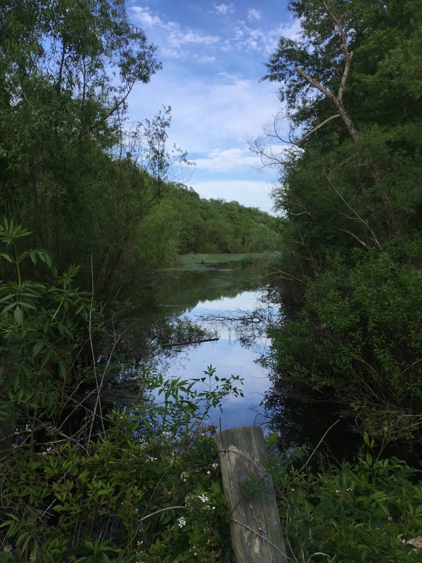 4B92646E-A8A9-4DF2-B2D3-FB0F5CF0800D