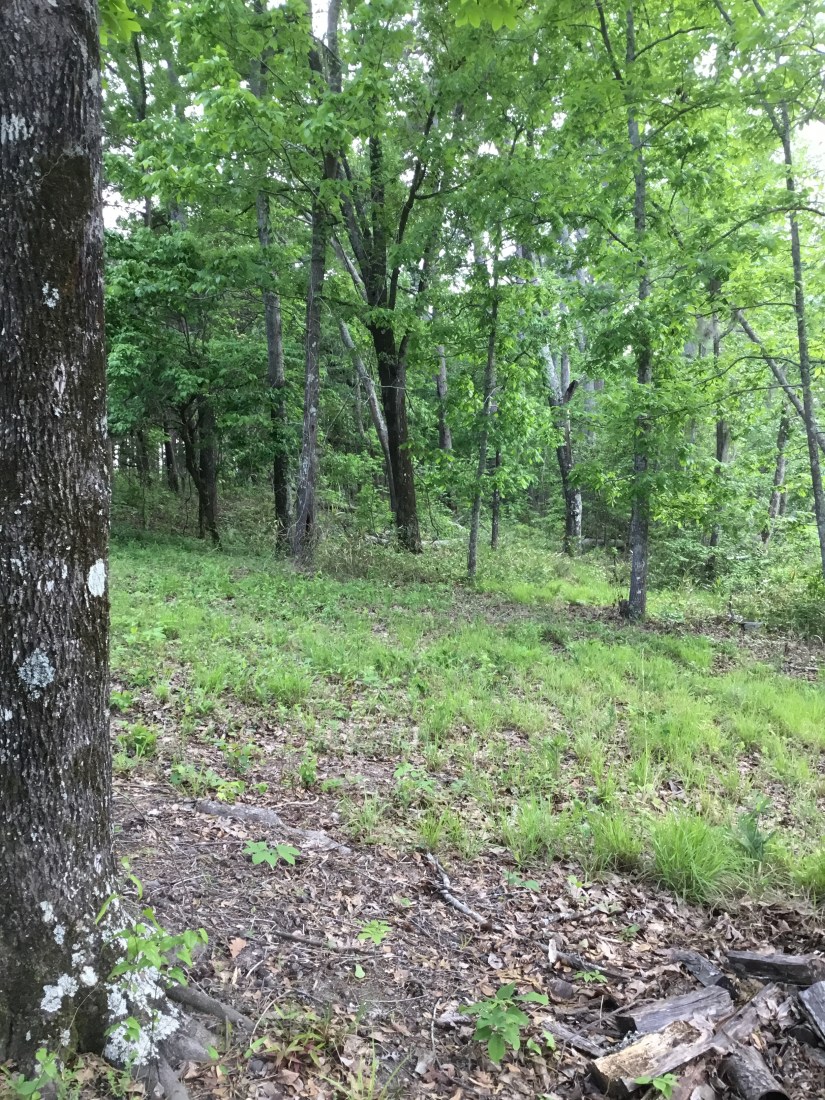 559E9934-49E9-42F6-B491-AAD6B09E9109