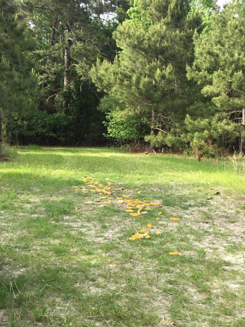 55BF9ADA-2FBF-4427-B7D0-2E507965198B