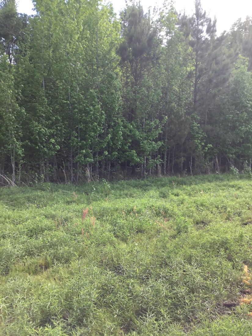 57FF5E5C-63D1-4C7B-B4DA-ABA9DC09E03E