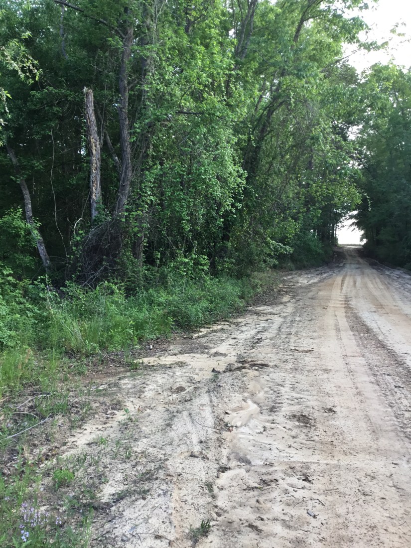 6BA9BCC8-7485-4611-989F-D49535D3EF77