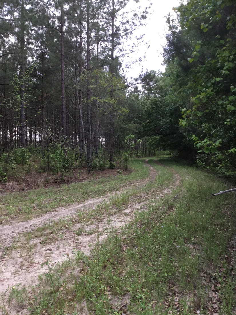 8A61F535-1FA9-4BDF-846E-093F6E834CCF