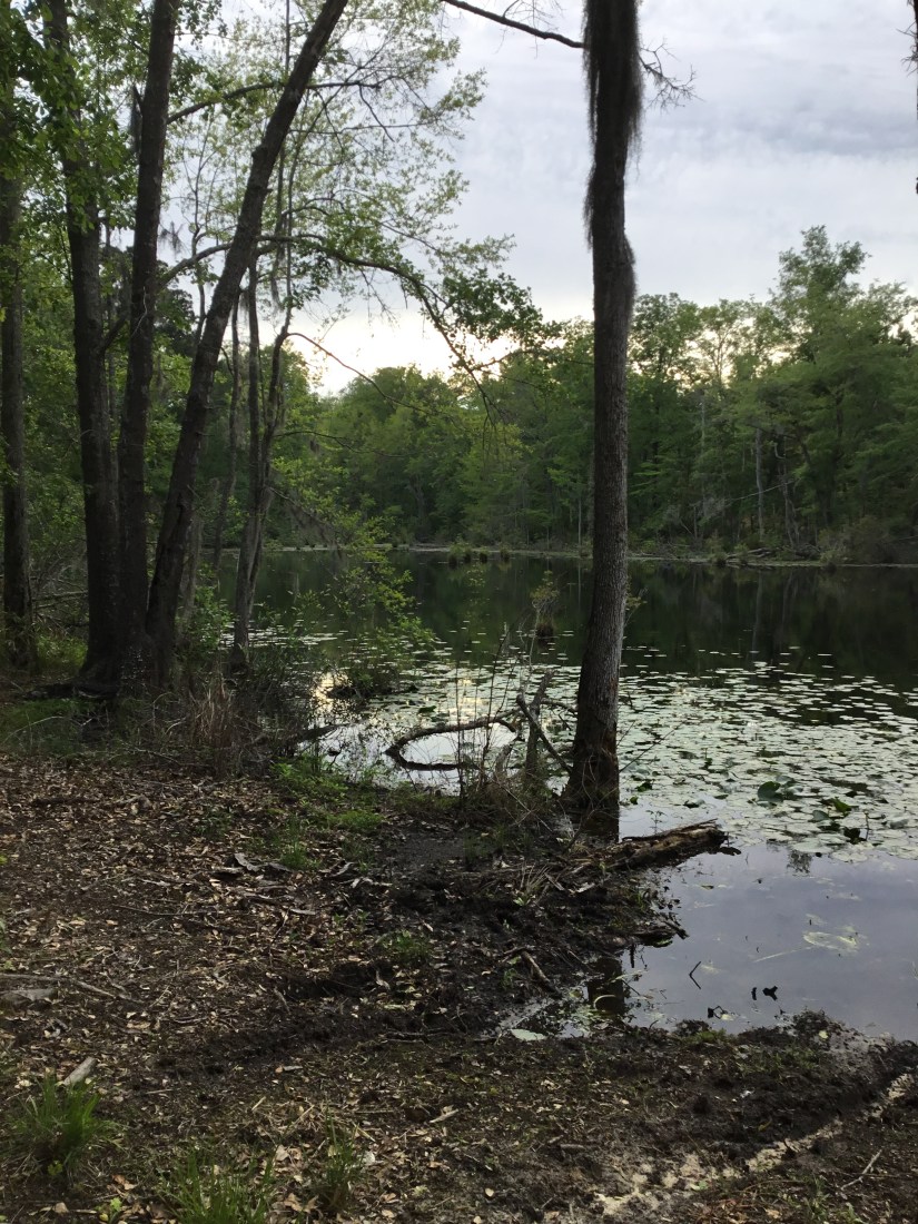 92F01216-3C95-4839-8239-CB83A948651C