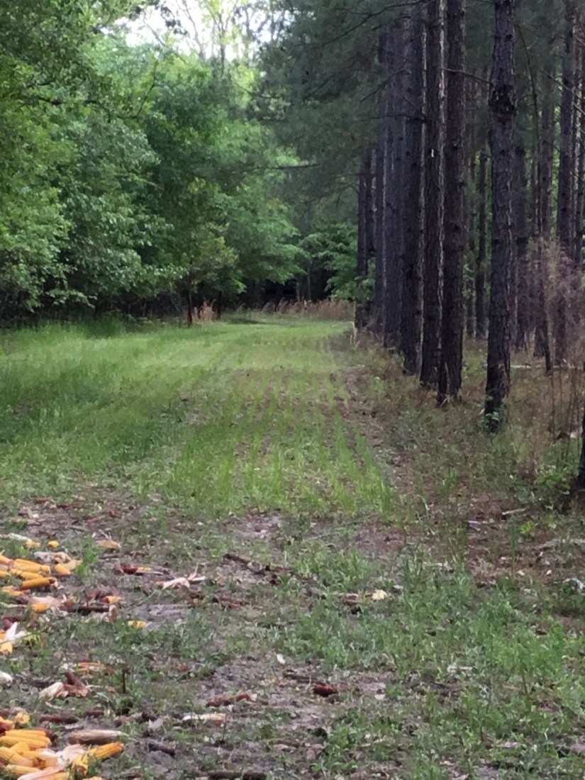 A97DAC21-F850-4F6D-911C-4477B601F510