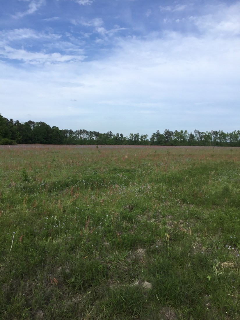 B57AD2CE-FF78-422B-8A74-6153946AB4D6