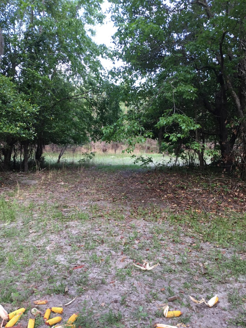 B926A2F2-9D5A-446D-AB1B-C21E48C6D205