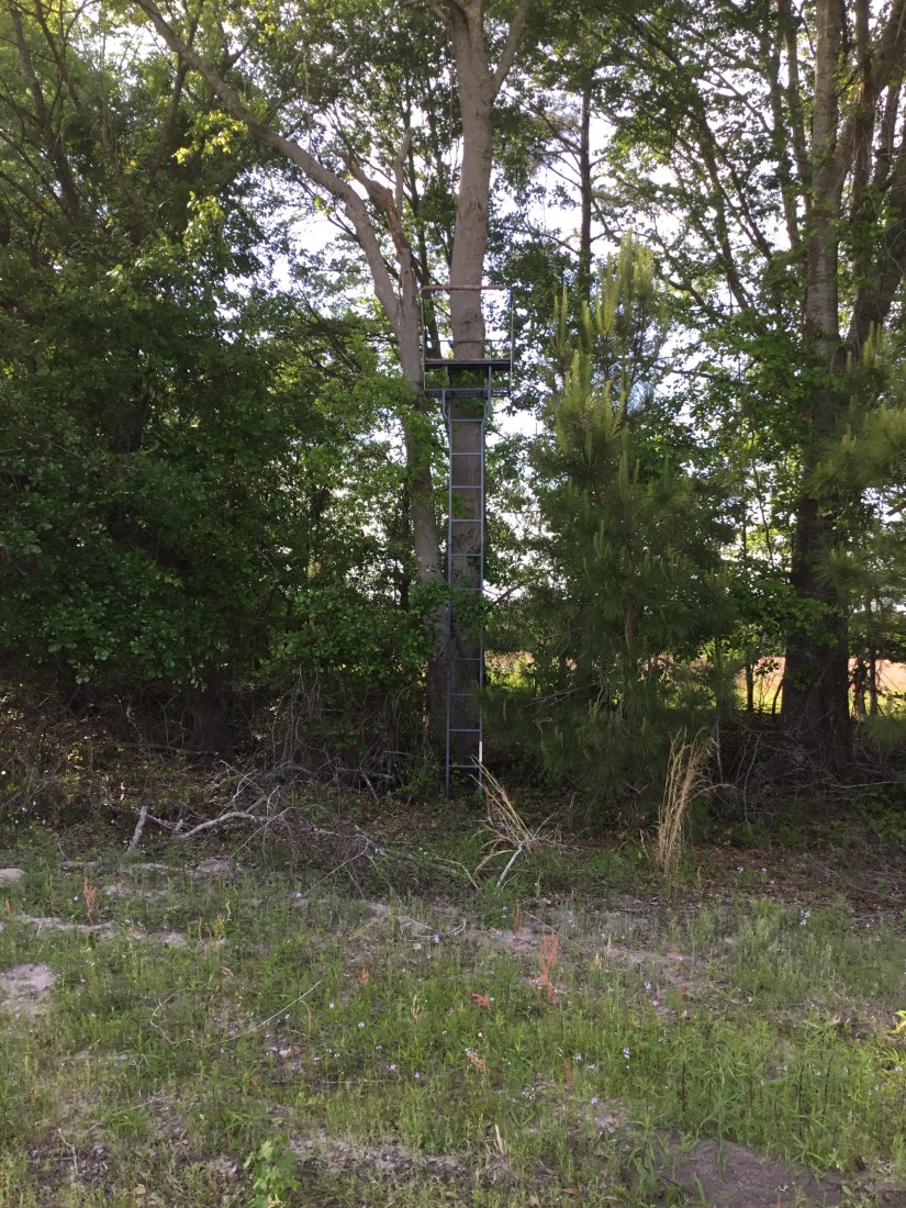 BA90933C-60CB-4E3B-90A0-267086CA4E5B