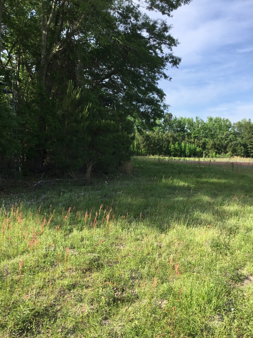 CB965D66-3010-4273-AFA4-1888B4F5ECB3