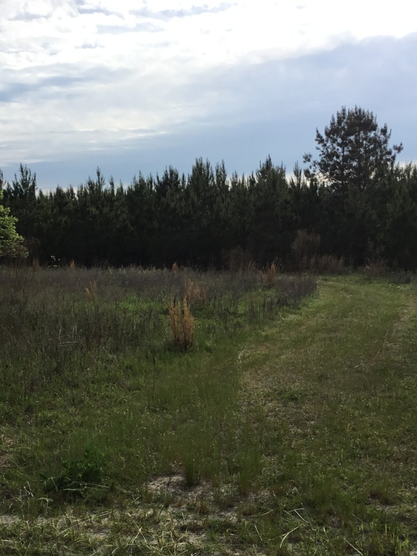 CDABC574-16FA-40EC-B06F-B8F8F7988D7A