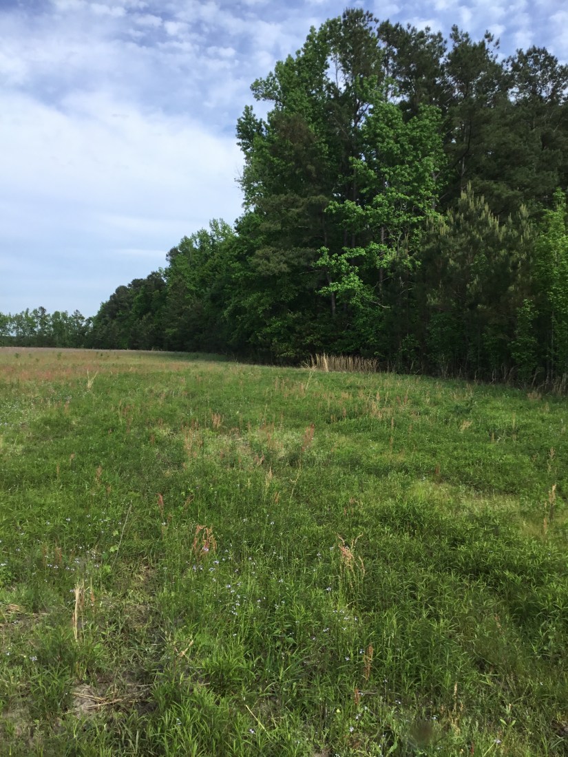 D0D60754-8444-4E84-A319-29D2A36999E1