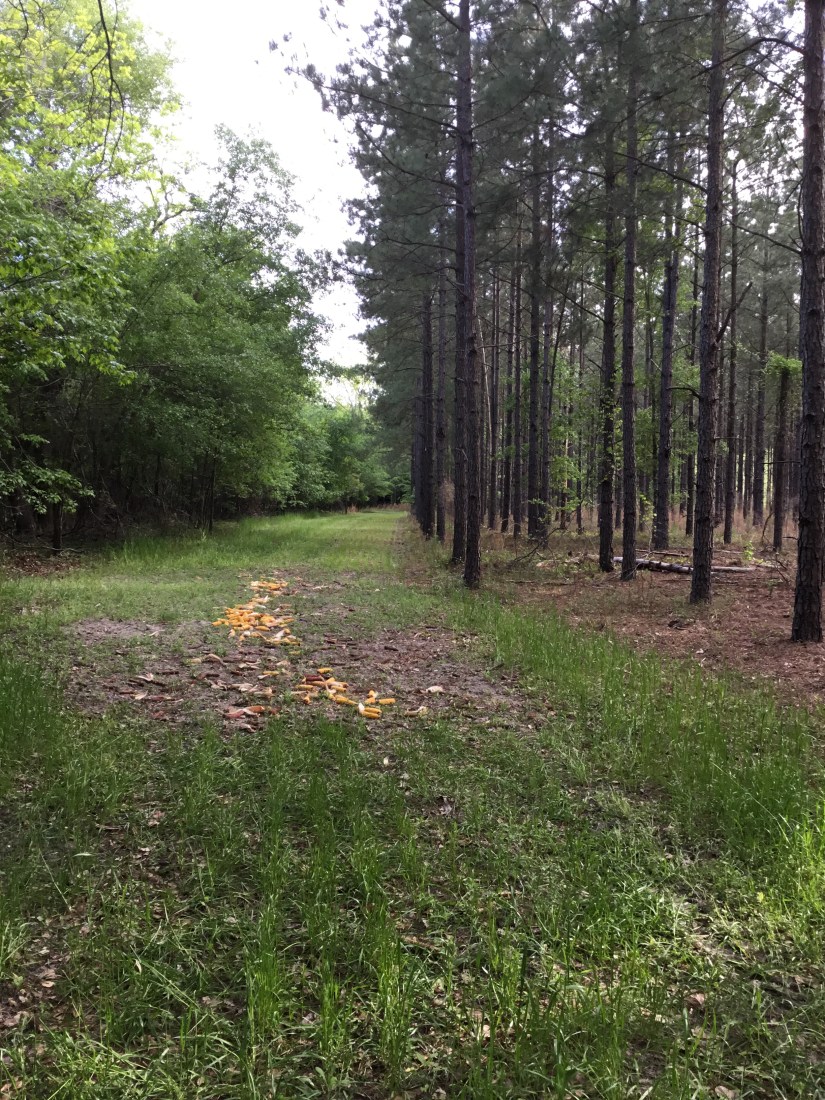 D8250130-8DBB-4CBD-8059-365FFC671045