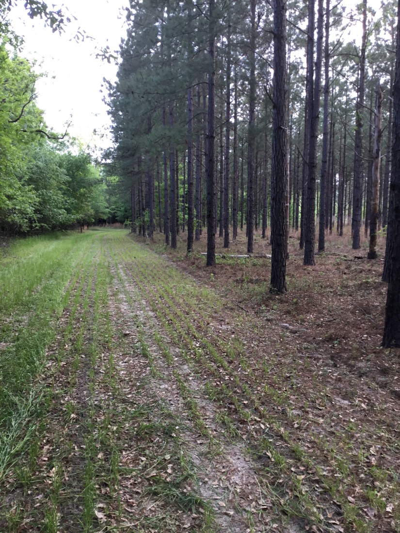 E041E832-968C-4C00-B8BB-70EBC6E91415