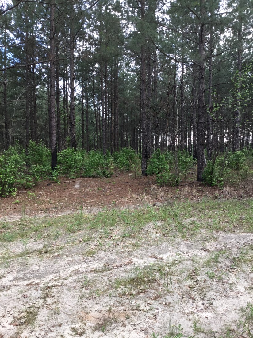 FDFE08AF-7ABB-4CAF-980A-53F745FF3B23