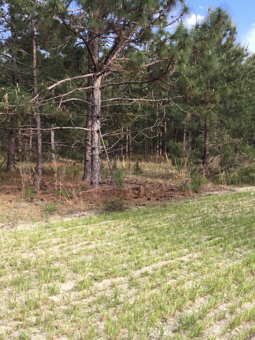 FF8A0A60-FC28-4DF8-A510-29B180C4B92D