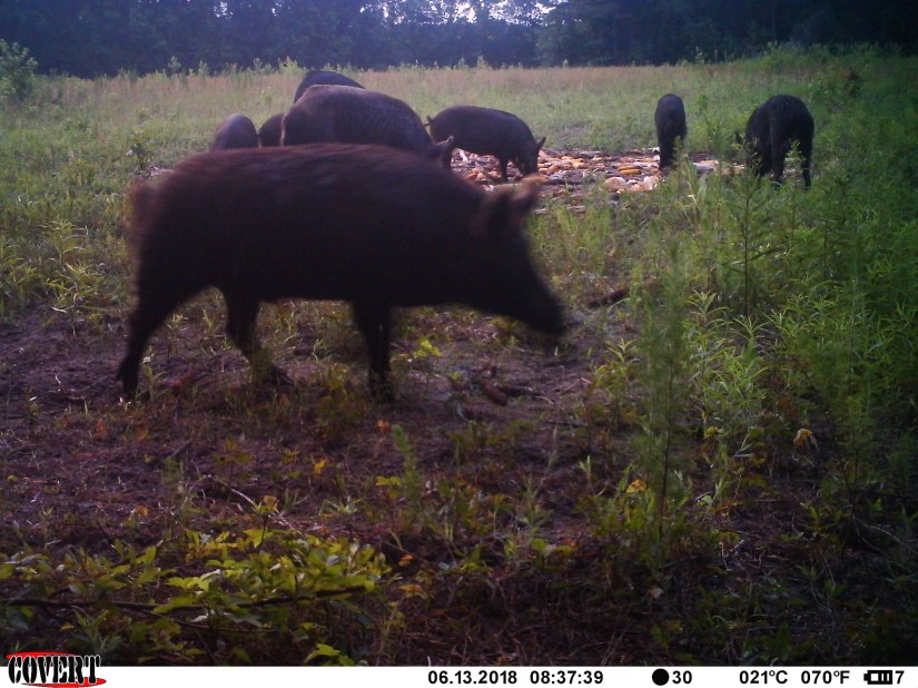 01120A6A-3D73-4AD0-9488-C61D57E75B8F