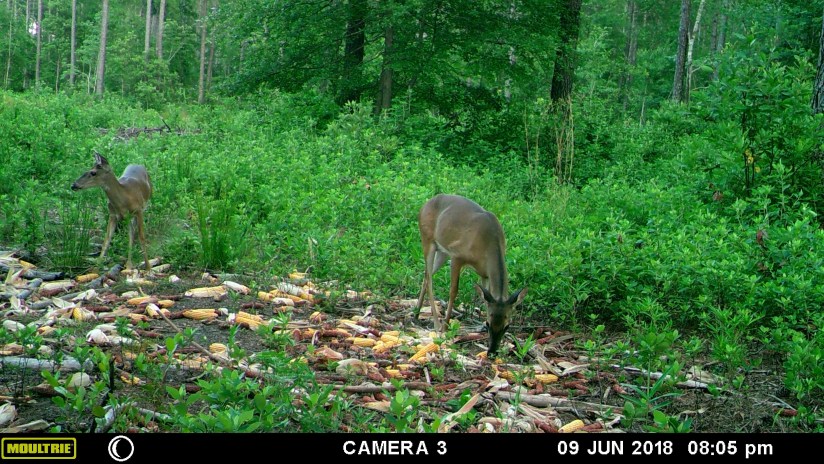 06E9719D-BA96-4613-B86D-A333AE03F922