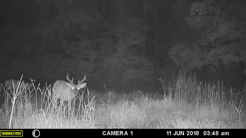 08EFB075-019C-4127-9935-65D02EF780A8