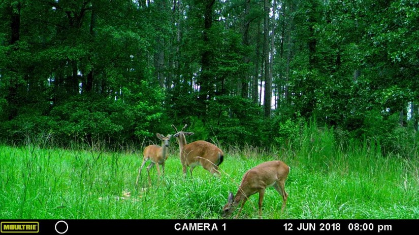 0EC0B551-C6D9-4384-80DE-899E2D984E72