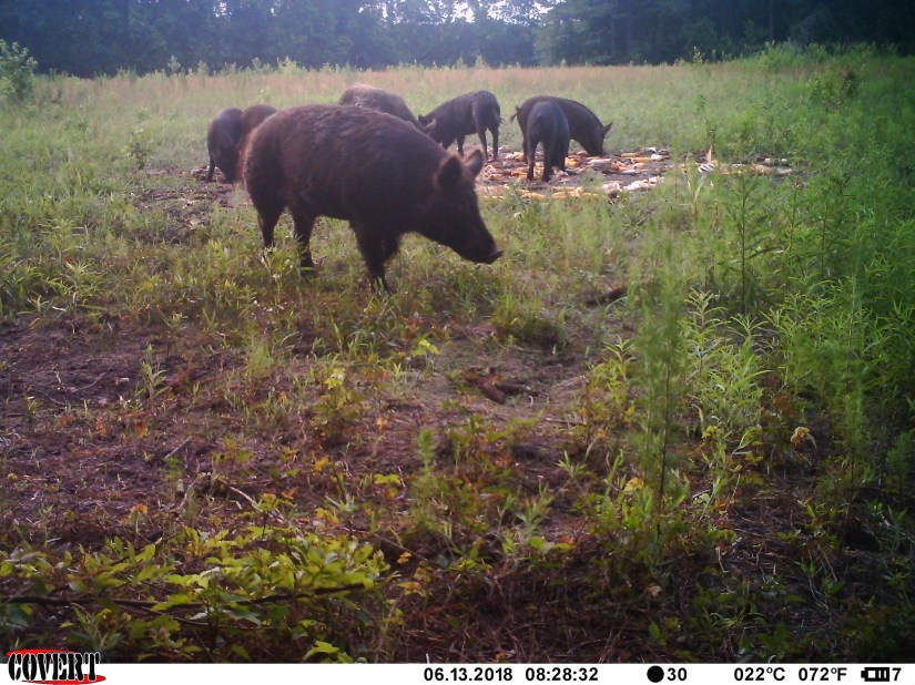 10D015F3-2406-41CA-865C-9A27027C622C