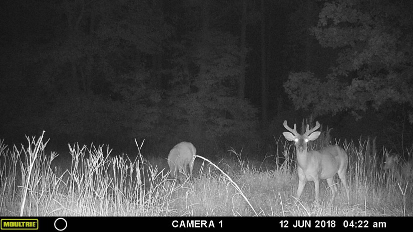 1E62AB19-B2DD-4097-8F39-480EE9CB8ACF