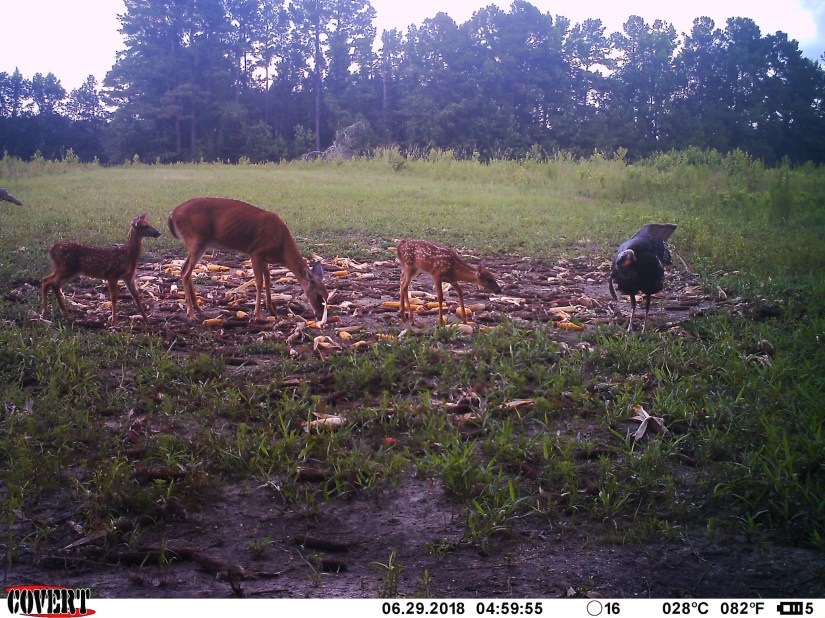 2A633C0F-01EA-4717-94D0-CA68A04FA87E