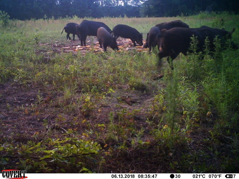 384B4A9E-CB64-4F59-962C-755B15B049FD