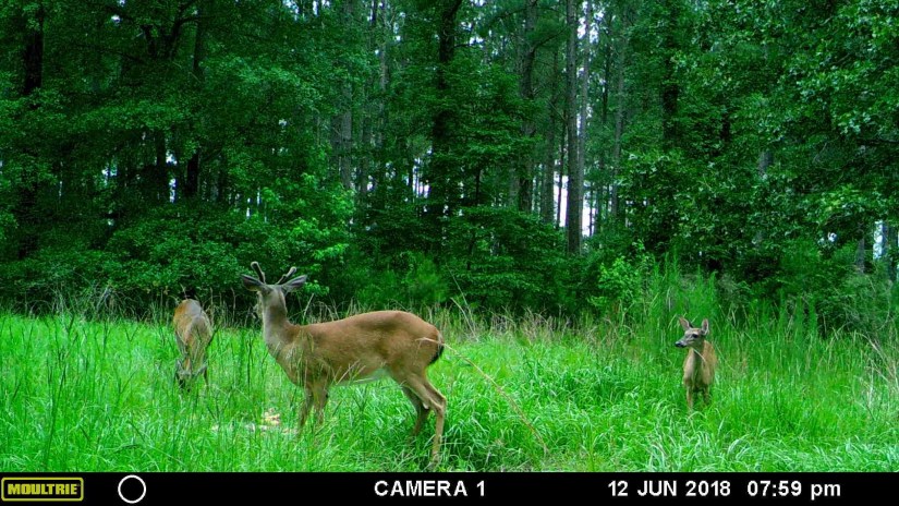 398AB3F4-BFE8-4745-A27C-CB0E9DE7B3A2