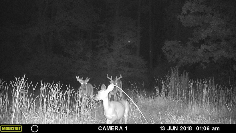 41EEF71E-297D-451F-B93D-26197530FFD1