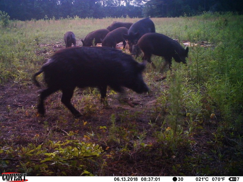 521999EA-2B92-444A-90AD-C13F6B01BE42