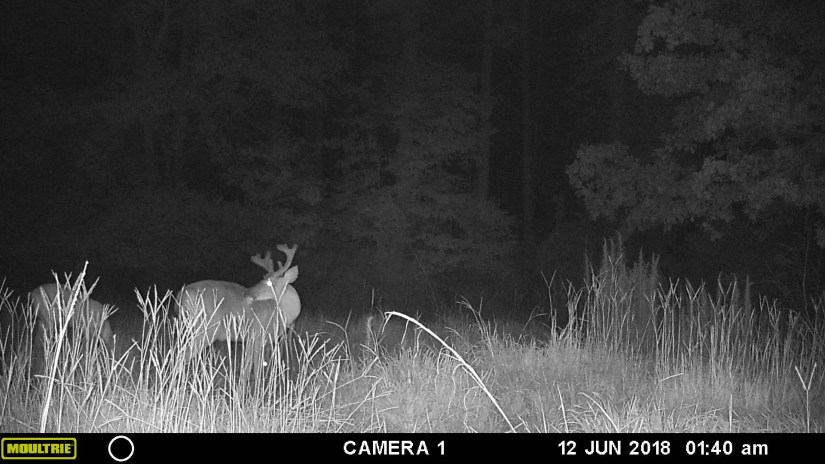 56879F2F-BCAB-4550-9EAB-C9F0712EF805