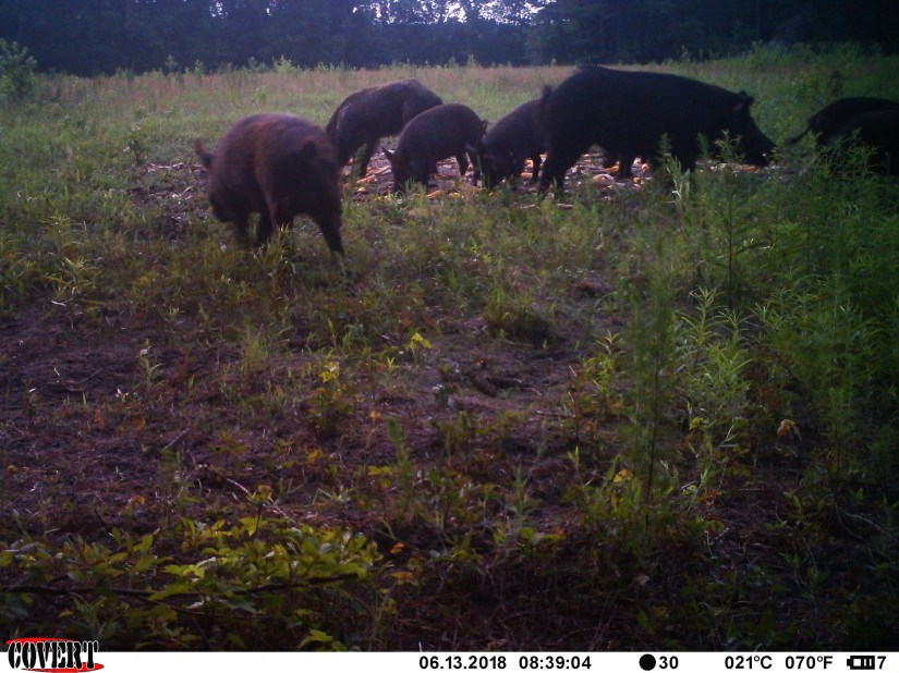 5C546511-E6D4-4369-B083-080655842CE7