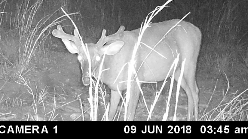 666B0848-B457-4112-A246-E5F0BDB7885A