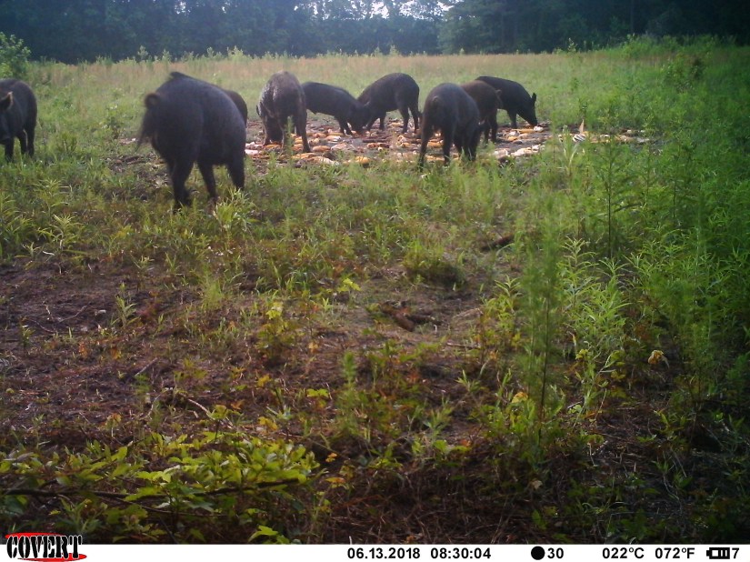 6CC734BB-1EDF-45B5-B95E-75602ECE7C72