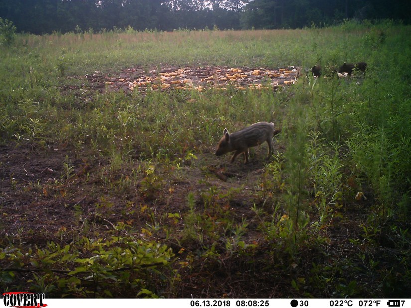 73EDBDE3-6CEA-400B-8550-BA9501271F31