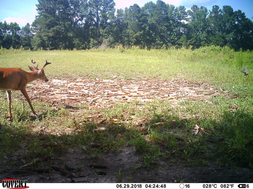 77517EA0-3CF1-4B81-9C95-499407DB69FA