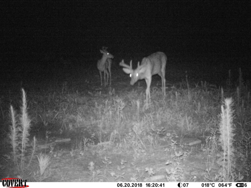 7881B58A-5F95-4A97-A7A8-AA6B912B15DA