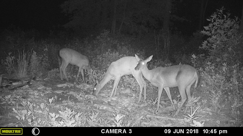 7B386984-2538-4BFB-BD6C-EAE6611B323B